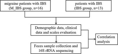 Alteration of gut microbiota in migraine patients with irritable bowel syndrome in a Chinese Han population